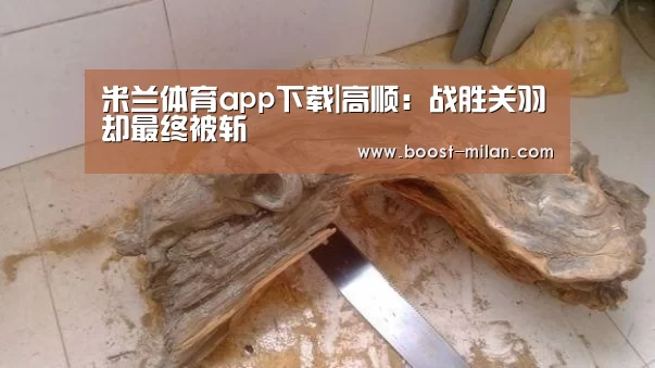 米兰体育app下载|高顺:战胜关羽却最终被斩(图2) MILANSPORT入口